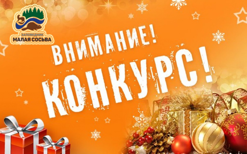 Все конкурсы, стипендии, вакансии, егэ | ВКонтакте