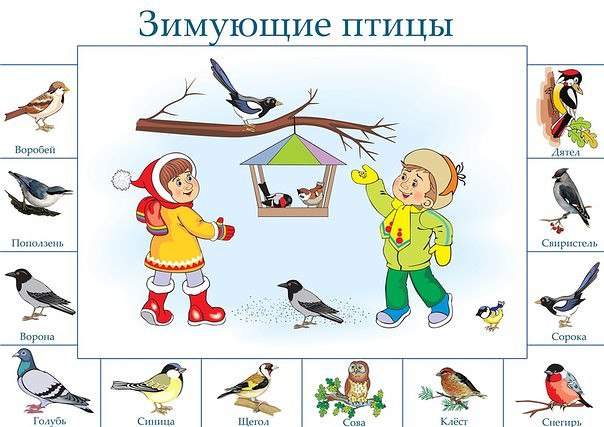 Покормите птиц зимой рисунок в детский сад (53 фото)